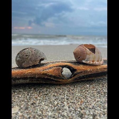 Cocoa, Beach House Bagian luar foto