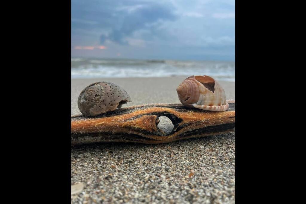 Cocoa, Beach House Bagian luar foto