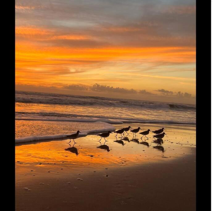 Cocoa, Beach House Bagian luar foto